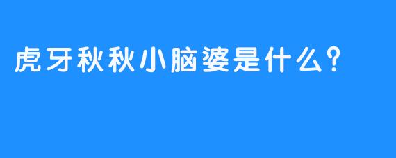 虎牙秋秋小脑婆是什么？