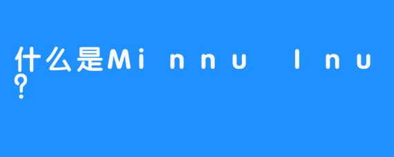 什么是Minnu Inu？