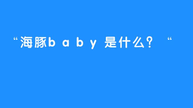“海豚baby是什么？“