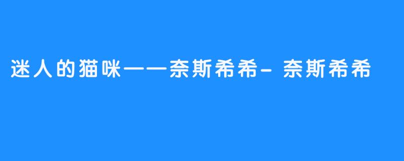 迷人的猫咪——奈斯希希-畅游ASMR 迷人的猫咪——奈斯希希