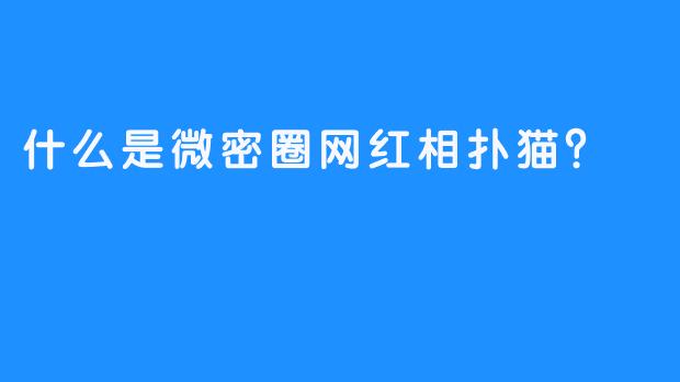 什么是微密圈网红相扑猫？
