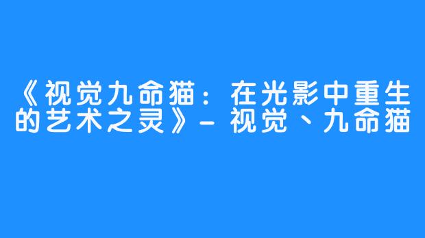 《视觉九命猫:在光影中重生的艺术之灵》-畅游ASMR 《视觉九命猫:在光影中重生的艺术之灵》
